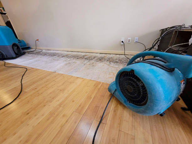 Professional Water Damage Repair technician working in Prior Lake, MN